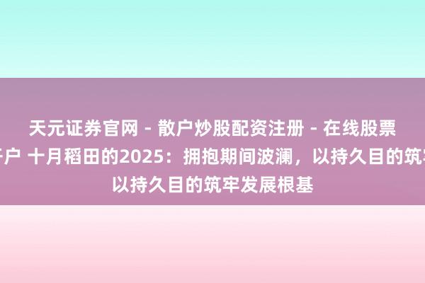 天元证券官网 - 散户炒股配资注册 - 在线股票如何杠杆开户 十月稻田的2025：拥抱期间波澜，以持久目的筑牢发展根基