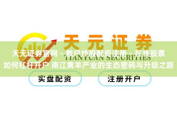 天元证券官网 - 散户炒股配资注册 - 在线股票如何杠杆开户 南江黄羊产业的生态密码与升级之路