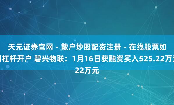 天元证券官网 - 散户炒股配资注册 - 在线股票如何杠杆开户 碧兴物联：1月16日获融资买入525.22万元