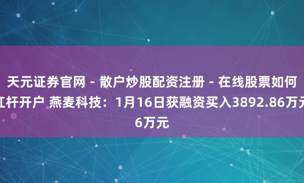 天元证券官网 - 散户炒股配资注册 - 在线股票如何杠杆开户 燕麦科技：1月16日获融资买入3892.86万元