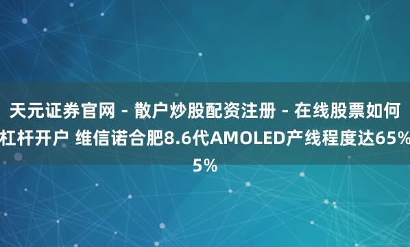 天元证券官网 - 散户炒股配资注册 - 在线股票如何杠杆开户 维信诺合肥8.6代AMOLED产线程度达65%