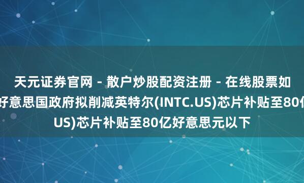 天元证券官网 - 散户炒股配资注册 - 在线股票如何杠杆开户 传好意思国政府拟削减英特尔(INTC.US)芯片补贴至80亿好意思元以下
