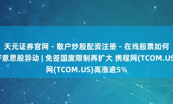 天元证券官网 - 散户炒股配资注册 - 在线股票如何杠杆开户 好意思股异动 | 免签国度限制再扩大 携程网(TCOM.US)高涨逾5%